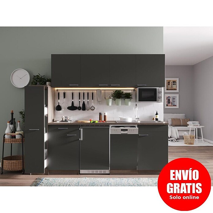 Respekta Composición de cocina (Ancho: 225 cm, Con placa de dos fuegos, Gris)