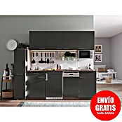 Respekta Composición de cocina (Ancho: 225 cm, Con placa de dos fuegos, Gris)