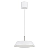 Globo LED viseća svjetiljka Silena  (24 W, Ø x V: 40 x 18 cm, Topla bijela) | BAUHAUS