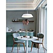 Globo LED viseća svjetiljka Silena  (24 W, Ø x V: 40 x 18 cm, Topla bijela) | BAUHAUS