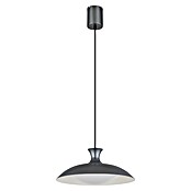 Globo LED viseća svjetiljka Rocha  (Ø x V: 40 x 150 cm, Siva) | BAUHAUS