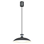 Globo LED viseća svjetiljka Rocha  (Ø x V: 40 x 150 cm, Siva) | BAUHAUS