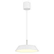 Globo LED viseća svjetiljka Silena  (24 W, Ø x V: 40 x 18 cm, Topla bijela) | BAUHAUS
