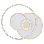 Globo LED stropna svetilka Roderick  (50 W, Do x Š x V: 54,5 x 46 x 6 cm, Bela) | 3016 - Deckenleuchte | CACB - Deckenleuchten | CAC - Indoorleuchten | CA - Beleuchtung | C - Elektro | BAUHAUS