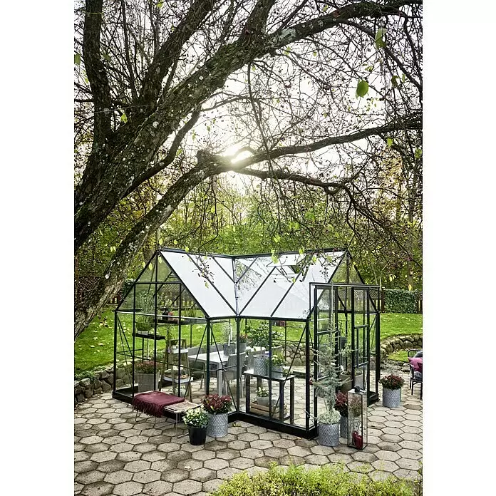 Halls Gewächshaus Garden Room - Außenmaß inkl. Dachüberstand (B x T): 389 x 390 cm, Farbe Gestell: Grün, Wandstärke: 3 mm - Schwarz gerahmtes Gewächshaus in einem Garten, gefüllt mit Pflanzen und einem Essbereich auf einer gepflasterten Terrasse.