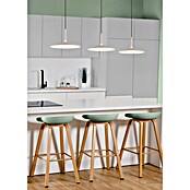 Globo LED viseća svjetiljka Lampone  (18 W, Ø x V: 47,5 x 150 cm, Bež) | BAUHAUS