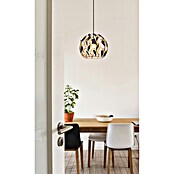 Globo Visilica Mika  (Duljina visilice: 1.500 mm, 40 W, E27, Crno-zlatna) | BAUHAUS