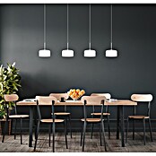 Globo LED viseća svjetiljka Belinda  (24 W, D x Š x V: 1.050 x 150 x 1.500 mm, Bijela) | BAUHAUS
