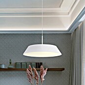 Globo LED viseća svjetiljka Silena  (24 W, Ø x V: 40 x 18 cm, Topla bijela) | BAUHAUS