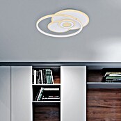 Globo LED stropna svetilka Roderick  (50 W, Do x Š x V: 54,5 x 46 x 6 cm, Bela) | 3016 - Deckenleuchte | CACB - Deckenleuchten | CAC - Indoorleuchten | CA - Beleuchtung | C - Elektro | BAUHAUS