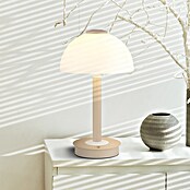 Globo Stolna LED svjetiljka Uldin  (7 W, Bež, Topla bijela) | BAUHAUS