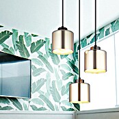 Globo Visilica Felicia  (60 W, Ø x V: 14 x 12 cm, E27, Tamno siva) | BAUHAUS