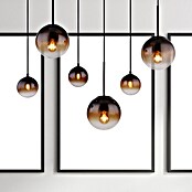 Globo Visilica Hallie  (Visina: 1.170 mm, 9 W, E27, Crna) | BAUHAUS