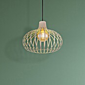 Globo Visilica Mateo  (40 W, Ø x V: 40 cm x 1.500 mm, E27) | BAUHAUS