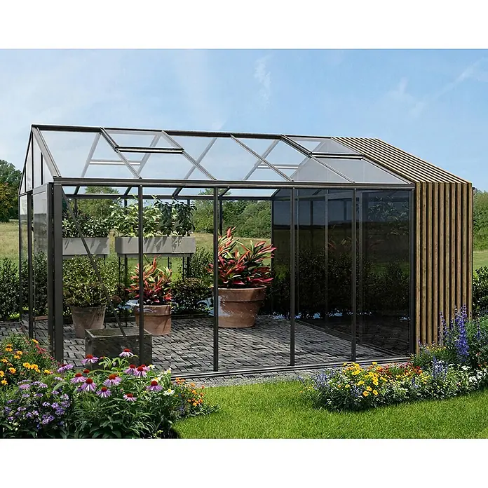 Bloomcabin Gewächshaus Aluminium Klassik mit Accoya-Fusion und kleinem integrierten Stauraum - Außenmaß inkl. Dachüberstand (B x T): 235 x 533 cm, Material Seitenwand: Glas, 4 mm, Schwarz - Modernes Gewächshaus mit dunklem Rahmen, Glaspaneelen und einer Seite mit Holzlamellen, gefüllt mit Topfpflanzen im Garten.