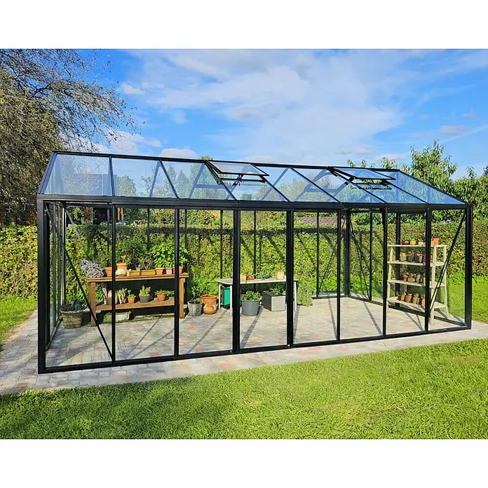 Bloomcabin Gewächshaus Aluminium Klassik - Außenmaß inkl. Dachüberstand (B x T): 309 x 608 cm, Material Seitenwand: Glas, 4 mm, Schwarz - Großes schwarzes Aluminium-Gewächshaus mit Klarglaspaneelen und geöffneten Dachfenstern, gefüllt mit Pflanzen.