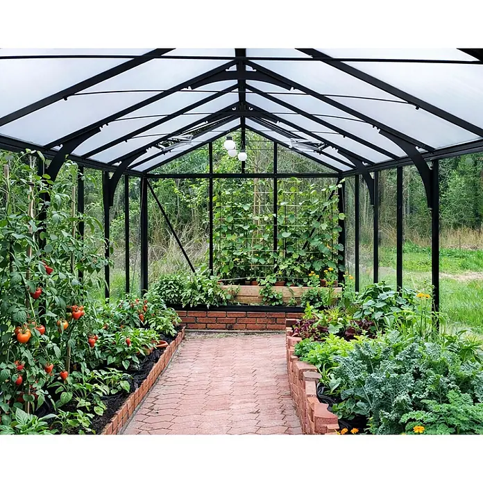 Bloomcabin Gewächshaus Aluminium für die Wandbasis - Außenmaß inkl. Dachüberstand (B x T): 235 x 608 cm, Material Seitenwand: Glas, 4 mm, Schwarz - Schwarzes Metallgewächshaus mit lichtdurchlässigen Dachpaneelen, gefüllt mit Gemüse wie Tomaten und Grünkohl, zur Gartennutzung.