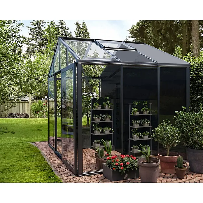 Bloomcabin Gewächshaus Aluminium Klassik mit kleinem integrierten Stauraum - Außenmaß inkl. Dachüberstand (B x T): 235 x 235 cm, Material Seitenwand: Glas, 4 mm, Schwarz - Modernes Gewächshaus mit dunklem Rahmen und klaren/dunklen Paneelen auf einer Ziegelterrasse im Garten, Pflanzen innen und außen.