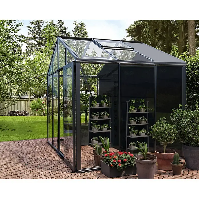 Bloomcabin Gewächshaus Aluminium Klassik mit kleinem integrierten Stauraum - Außenmaß inkl. Dachüberstand (B x T): 309 x 235 cm, Material Seitenwand: Glas, 4 mm, Schwarz - Anthrazitfarbenes Glasgewächshaus mit integrierten Regalen für Pflanzen, auf einer Ziegelterrasse in einem üppigen Garten.