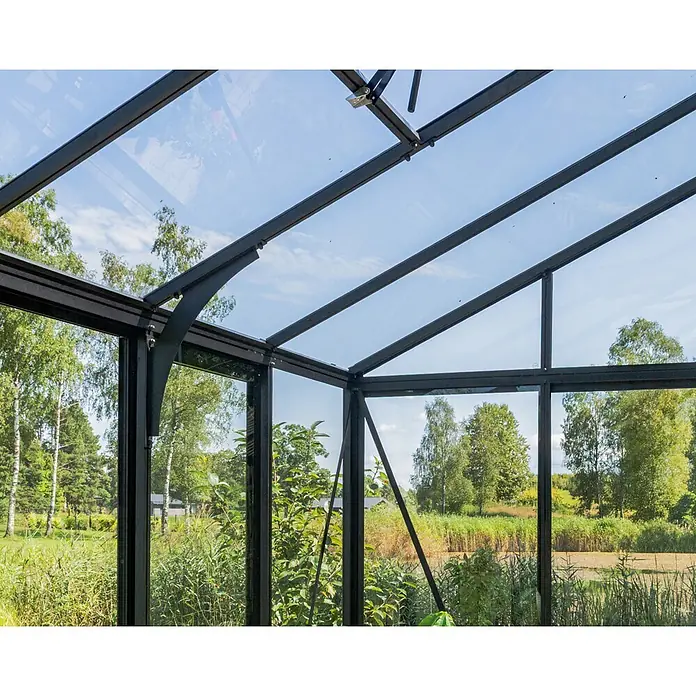 Bloomcabin Gewächshaus Aluminium Limited Edition mit Accoya-Fusion - Außenmaß inkl. Dachüberstand (B x T): 235 x 309 cm, Material Seitenwand: Glas, 4 mm, Schwarz - Schwarz gerahmtes Gewächshaus mit Klarglasscheiben, Blick auf die Natur von innen.