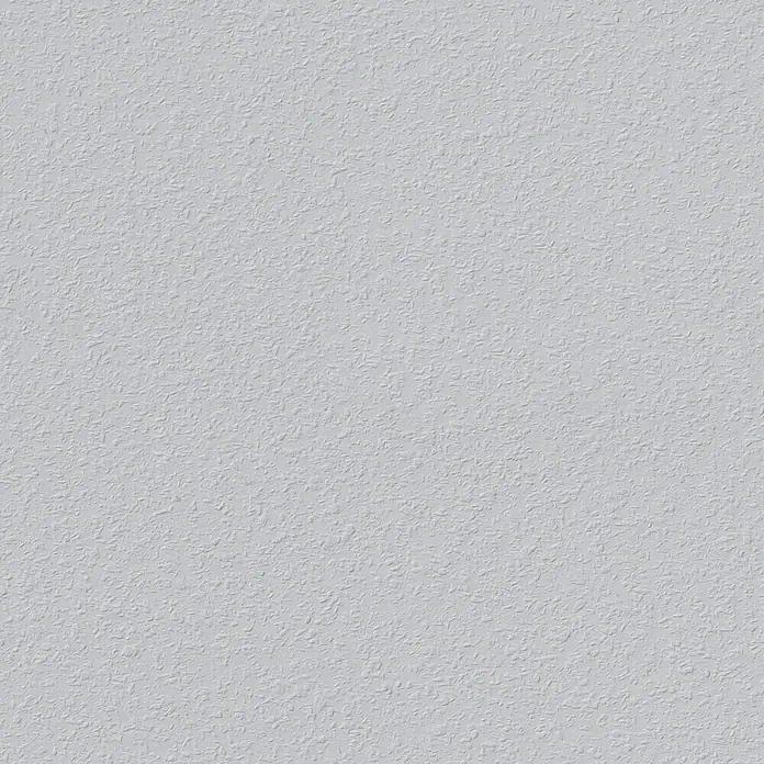 ERFURT Raufaser papier Classico 20x0,53 m kopen! | HORNBACH