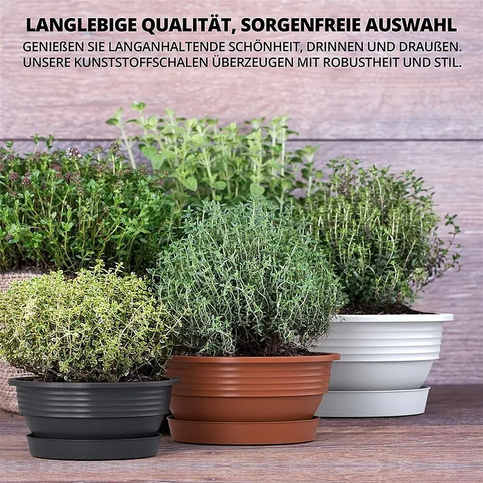 Plastard Pflanzschale rund Milano 3er Set mit Untersetzer in Anthrazit – Blumenschale - Außenmaß (Ø x H): 45 x 16 cm, Kunststoff, Anthrazit - Drei gerippte Kunststoff-Pflanztöpfe mit Untersetzern in Dunkelgrau, Braun und Weiß, bepflanzt mit Kräutern.