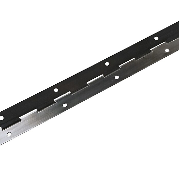 M.Pascual Bisagra de piano (L x An: 480 x 32 mm, Acero inoxidable) | BAUHAUS