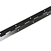 M.Pascual Bisagra de piano (L x An: 480 x 32 mm, Acero inoxidable) | BAUHAUS