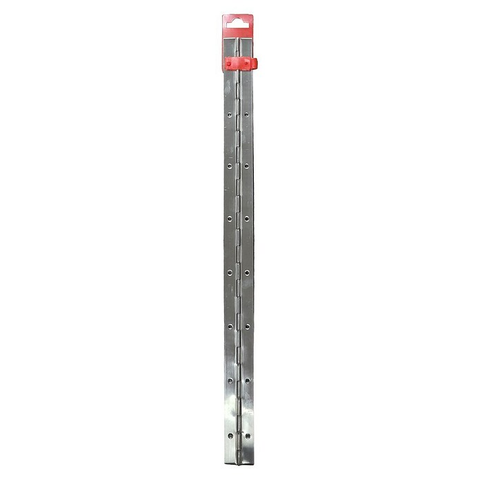 M.Pascual Bisagra de piano (L x An: 480 x 32 mm, Acero inoxidable) | BAUHAUS