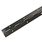 M.Pascual Bisagra de piano (L x An: 480 x 32 mm, Acero inoxidable) | BAUHAUS