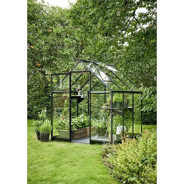 Halls Gewächshaus Qube 66 - Außenmaß inkl. Dachüberstand (B x T): 198 x 198 cm, Schwarz - Nahaufnahme eines Gewächshauses aus Glas mit Pflanzen darin, das in einem Garten steht. Das Gewächshaus hat eine schwarze Metallstruktur.