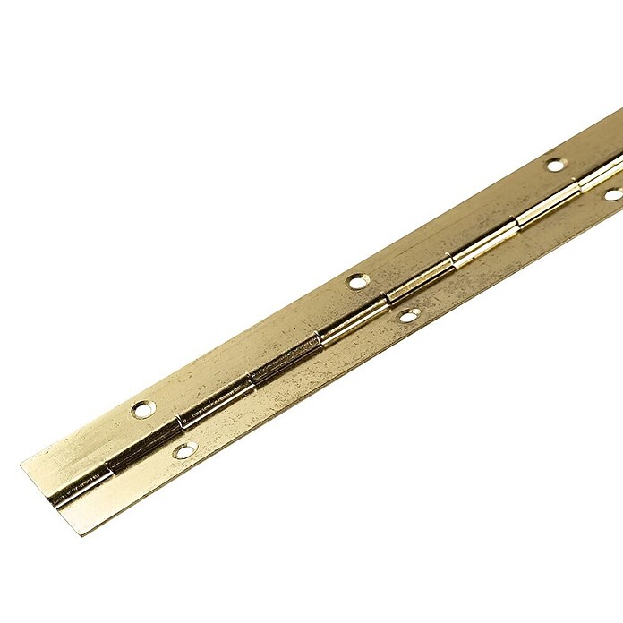 M.Pascual Bisagra de piano (L x An: 480 x 32 mm, Fundición) | BAUHAUS