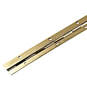 M.Pascual Bisagra de piano (L x An: 480 x 32 mm, Fundición) | BAUHAUS