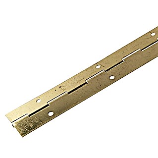 M.Pascual Bisagra de piano (L x An: 480 x 32 mm, Fundición)