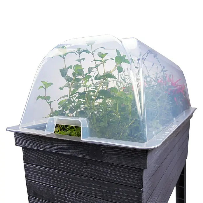 Garantia Urban Anzuchthaube - 75 x 37 x 22 cm - Ein Pflanztisch mit Frühbeetaufsatz zeigt üppiges Grün, ideal für den Garten oder Balkon.
