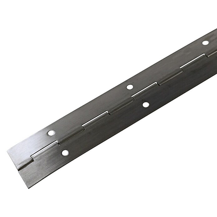 M.Pascual Bisagra de piano (L x An: 960 x 32 mm, Acero inoxidable) | BAUHAUS