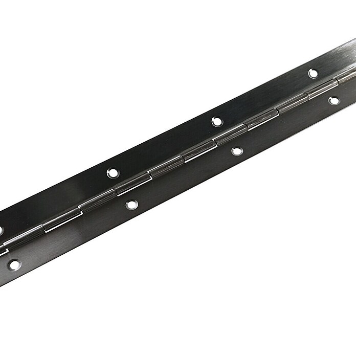 M.Pascual Bisagra de piano (L x An: 960 x 32 mm, Acero inoxidable) | BAUHAUS