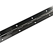 M.Pascual Bisagra de piano (L x An: 960 x 32 mm, Acero inoxidable) | BAUHAUS