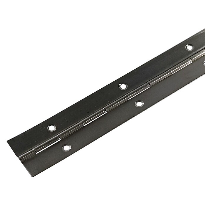 M.Pascual Bisagra de piano (L x An: 960 x 32 mm, Acero inoxidable) | BAUHAUS