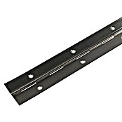 M.Pascual Bisagra de piano (L x An: 960 x 32 mm, Acero inoxidable) | BAUHAUS
