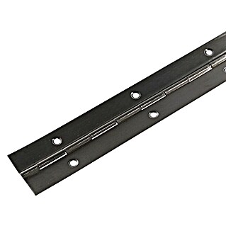 M.Pascual Bisagra de piano (L x An: 960 x 32 mm, Acero inoxidable)