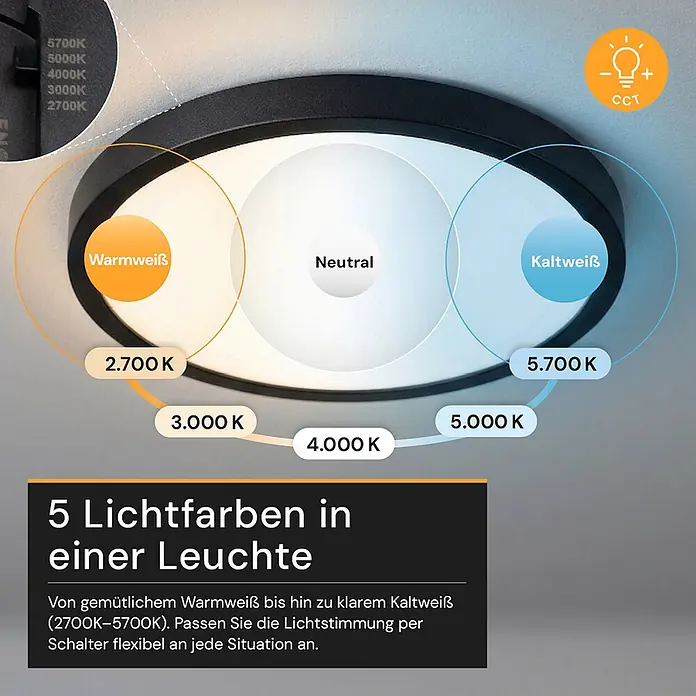 Enovalite LED-Deckenleuchte rund - 24 W, Ø x H: 29 x 1,95 cm, Schwarz, Schwarz, Mehrfarbig - Runde schwarze LED-Deckenleuchte mit 5 einstellbaren Lichtfarben von Warmweiß bis Kaltweiß (2700K-5700K).