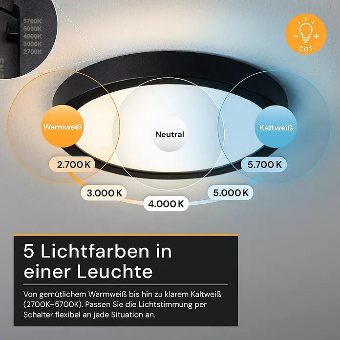 Enovalite LED-Deckenleuchte rund - 12 W, Ø x H: 16,5 x 1,95 cm, Schwarz, Schwarz, Mehrfarbig - Schwarze, runde LED-Deckenleuchte mit einstellbarer Lichtfarbe (2700K-5700K).
