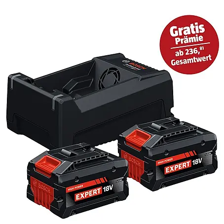 Bosch Professional AMPShare 18V Akku & Ladegerät Starter-Set Expert 2x EXBA18V-55 + GAL12V/18V-80