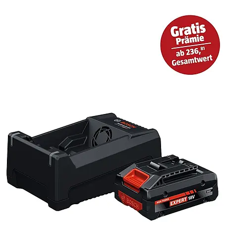 Bosch Professional AMPShare 18V Akku & Ladegerät 1X EXBA 18V-40, GAL 12V/18V