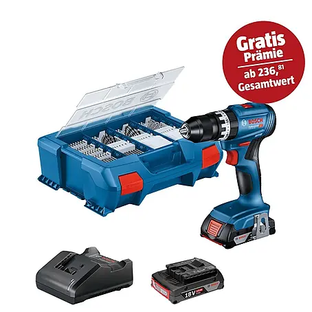 Bosch Professional AMPShare 18V Akku-Schlagbohrschrauber GSB 18V-45 PR