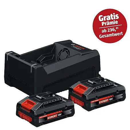Bosch Professional AMPShare 18V Akku & Ladegerät Starter-Set 2x EXBA18V-40 + GAL 12V/18V-80