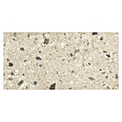 Cersanit Porculanska pločica Brand Rock  (119,8 x 59,8 cm, Krem, Mat) | BAUHAUS