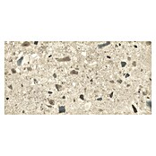 Cersanit Porculanska pločica Brand Rock  (119,8 x 59,8 cm, Krem, Mat) | BAUHAUS