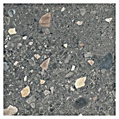 Cersanit Porculanska pločica Brand Rock  (59,8 x 59,8 cm, Grafit, Mat) | BAUHAUS